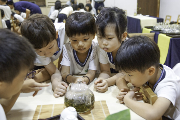 The tea appreciation instructor specially selected transparent receptacles so that the children can observe the tea leaves unfurling in the steeping process. Photo by Nichelle Chan