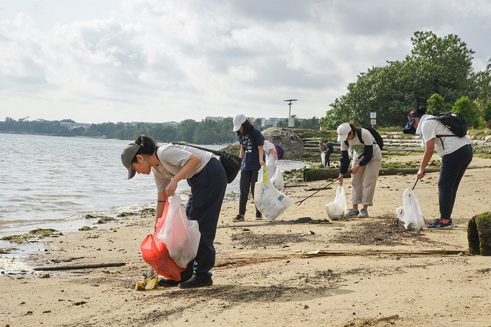 Volunteers Come Together to Clean up the Coast on World Earth Day