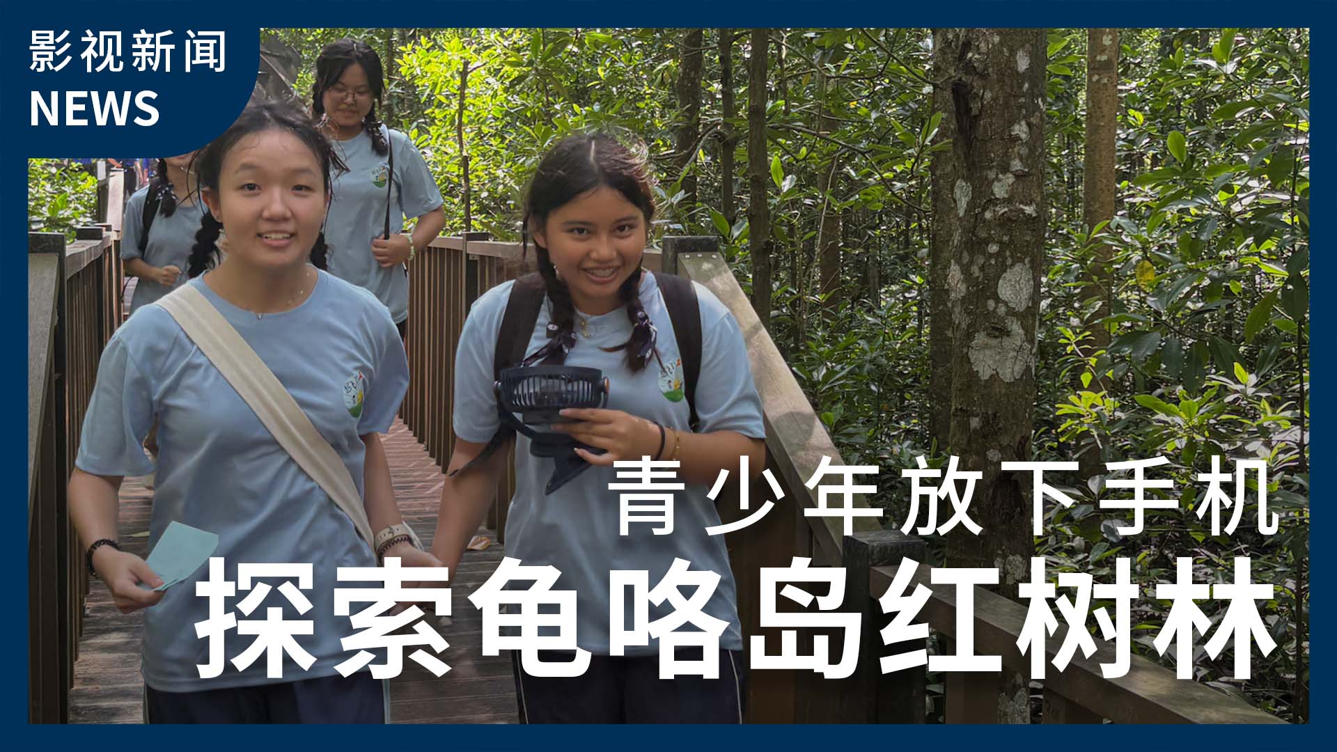青少年放下手机 探索龟咯岛红树林